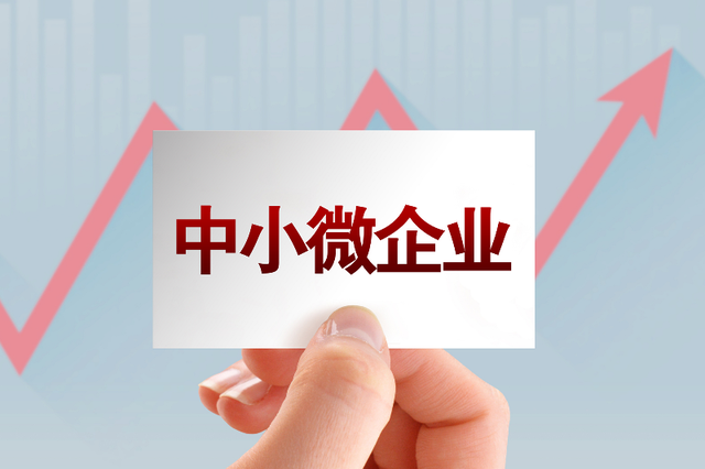 贵阳市政府性融资担保机构大力支持中小微企业发展