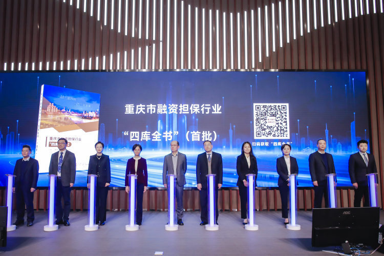 重庆融资担保